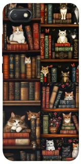 Чехол на Xiaomi Redmi 6A Cats & Books фото 1 из 1