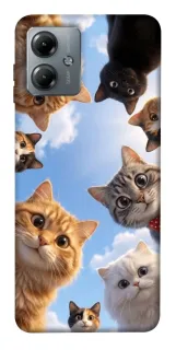 Чехол на Motorola Moto G14 Cats фото 1 из 1