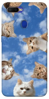 Чохол на Oppo A5s Сats фото 1 з 1