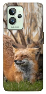Чохол на Realme GT2 Лисиця фото 1 з 1