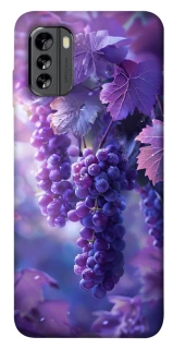 Чохол на Nokia G60 Bunch of grapes фото 1 з 1