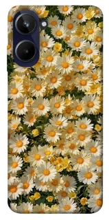 Чехол на Realme 10 4G Camomile фото 1 из 1
