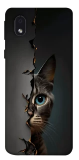 Чехол на Samsung Galaxy M01 Core / A01 Core Кот-подглядыватель v2 фото 1 из 1