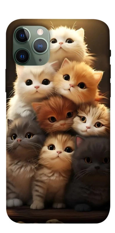 Чехол на Apple iPhone 11 Pro (5.8") Чехол Kittie Love v2 фото 1 из 1