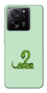 Чохол на Xiaomi 13T Змійка фото 1 з 1