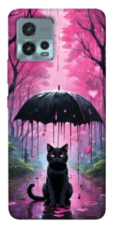 Чохол на Motorola Moto G72 Black cat фото 1 з 1