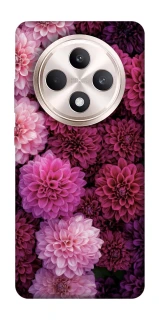 Чехол на Oppo Reno 12 F 4G/5G Garden1 фото 1 из 1