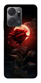 Чехол на Huawei Honor X7a Красная роза фото 1 из 1