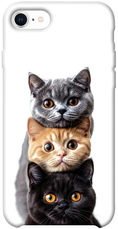 Чохол на Apple iPhone SE (2020) Гарні котики фото 1 з 1