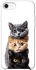 Чохол на Apple iPhone SE (2020) Гарні котики фото 1 з 1