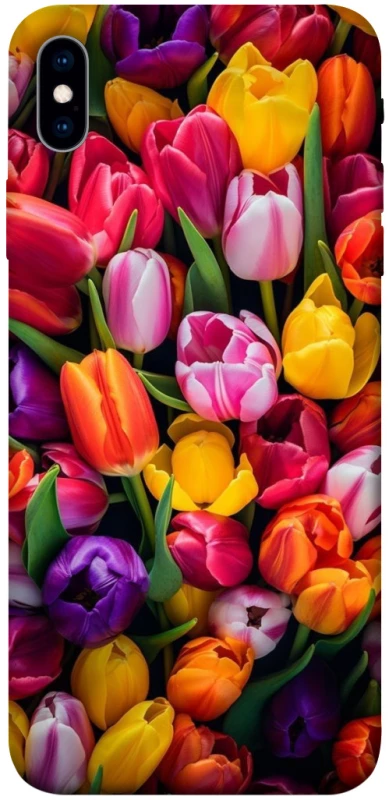 Чохол на Apple iPhone XS Max (6.5") Flowers v30 фото 1 з 1