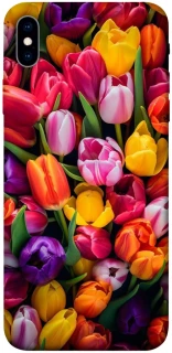 Чехол на Apple iPhone XS Max (6.5") Flowers v30 фото 1 из 1