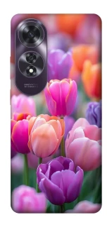 Чохол на Oppo A60 Тюльпанове поле фото 1 з 1