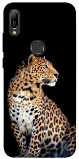 Чохол на Huawei Y6 (2019) Leopard v2 фото 1 з 1