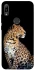 Чохол на Huawei Y6 (2019) Leopard v2 фото 1 з 1