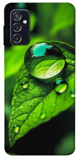 Чехол на Samsung Galaxy M52 Flowers v16 фото 1 из 1