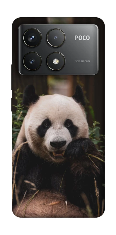 Чохол на Xiaomi Poco F6 Pro Панда фото 1 з 1