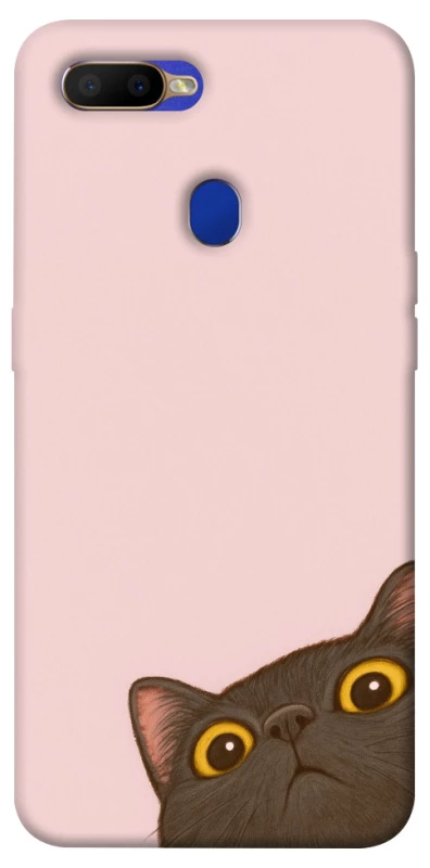 Чохол на Oppo A5s Peeping cat фото 1 з 1