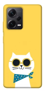 Чехол на Xiaomi Redmi Note 12 Pro 5G Кот-муркот фото 1 из 1