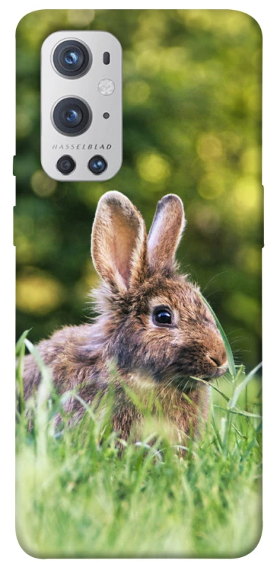 Чохол на OnePlus 9 Pro Кролики фото 1 з 1