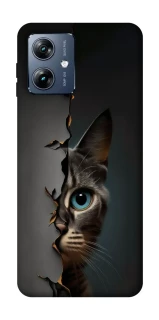 Чехол на Motorola Moto G54 Power Кот-подглядыватель v2 фото 1 из 1