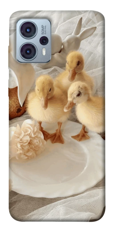 Чохол на Motorola Moto G23 Easter Vibes фото 1 з 1