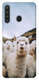 Чохол на Samsung Galaxy A21 Лама фото 1 з 1