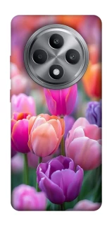 Чохол на Oppo Reno 12 F 4G Тюльпанове поле фото 1 з 1