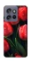 Чохол на Motorola Edge 50 Neo Червоні тюльпани фото 1 Чохол на Motorola Edge 50 Neo Червоні тюльпани фото 1 з 1