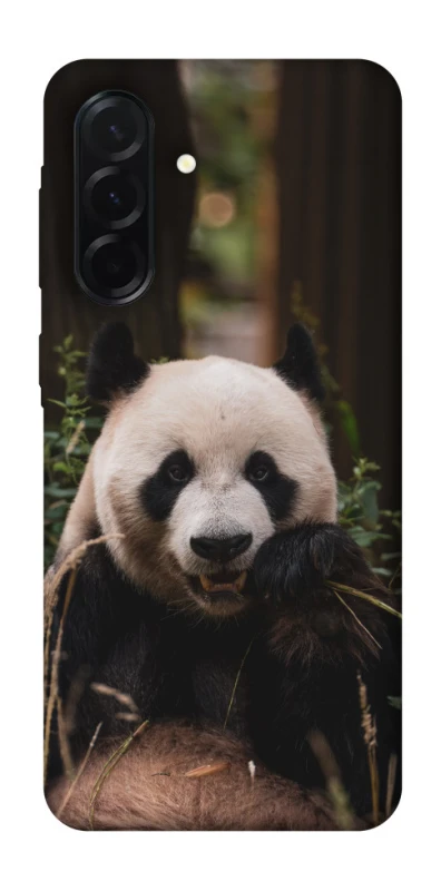 Чехол на Samsung Galaxy A37 5G Панда фото 1 из 1