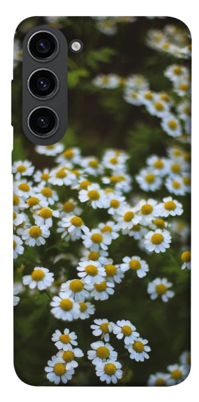 Чехол на Samsung Galaxy S23 Ромашки v13 фото 1 из 1
