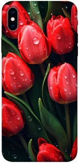 Чохол на Apple iPhone XS Max (6.5") Червоні тюльпани фото 1 з 1