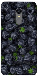 Чохол на Xiaomi Redmi 5 Plus / Redmi Note 5 (Single Camera) Fresh фото 1 з 1