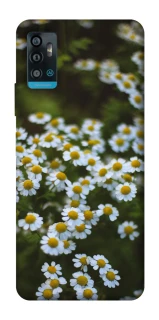 Чехол на ZTE Blade A71 Ромашки v13 фото 1 из 1
