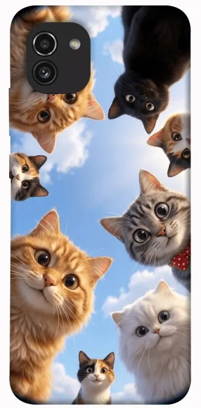 Чохол на Samsung Galaxy A03 Cats фото 1 з 1