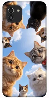 Чехол на Samsung Galaxy A03 Cats фото 1 из 1