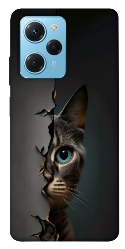 Чехол на Xiaomi Poco X5 Pro 5G Кот-подглядыватель v2 фото 1 из 1