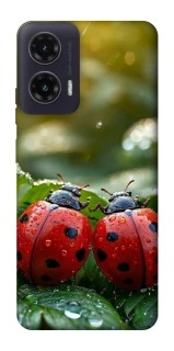 Чохол на Motorola Moto G35 Flowers v23 фото 1 з 1