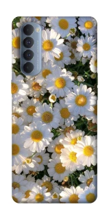 Чехол на Oppo Reno 4 Pro Поле ромашек фото 1 из 1