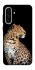 Чохол на Samsung Galaxy A36 5G Leopard v2 фото 1 з 1