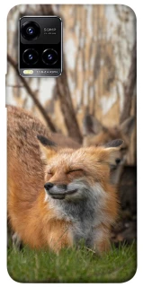 Чехол на Vivo Y21 / Y33s Лиса фото 1 из 1