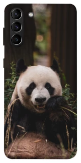Чехол на Samsung Galaxy S21+ Панда фото 1 из 1