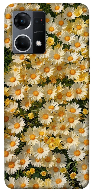 Чохол на Oppo Reno 7 4G Camomile фото 1 з 1