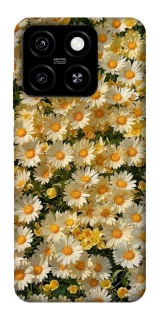 Чохол на ZTE Blade A55 4G Camomile фото 1 з 1