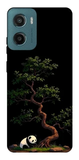 Чохол на Motorola Moto G06 Panda and tree фото 1 з 1