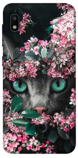 Чехол на Samsung Galaxy A10 (A105F) Кот в цветах фото 1 из 1
