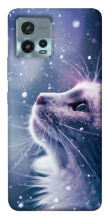 Чохол на Motorola Moto G72 Snow cat фото 1 з 1