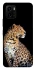 Чохол на Vivo Y15s Leopard v2 фото 1 з 1