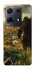 Чехол на Infinix Note 30 Pro Orc фото 1 из 1