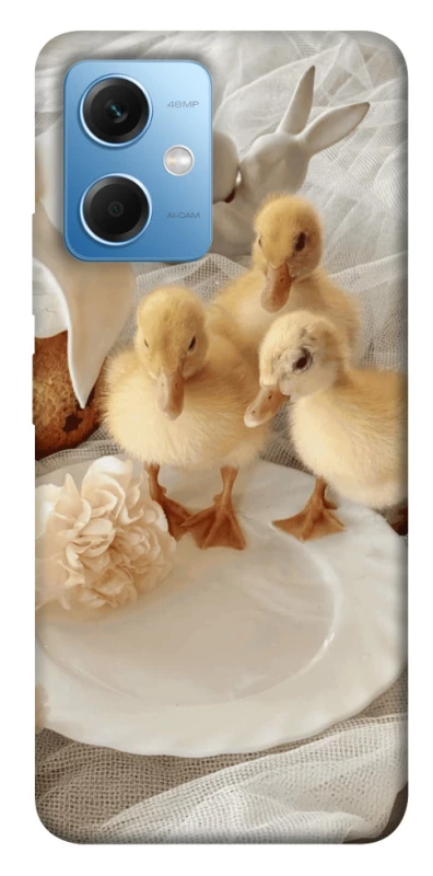 Чехол на Xiaomi Redmi Note 12 5G Easter Vibes фото 1 из 1